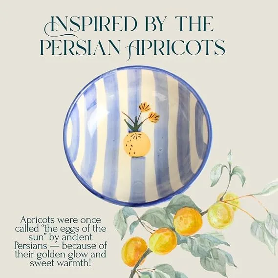 Stylish ceramic plates inspired by Persian apricots, featuring blue stripes and a hand-painted apricot design.